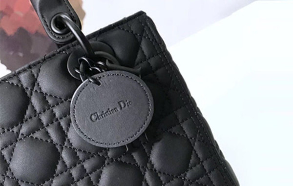 2019 D올 레이디백 블랙무광